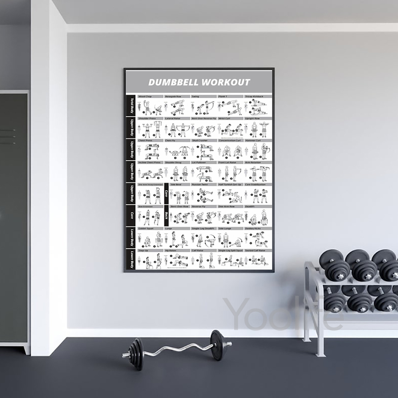 Постеры с таблицами упражнений – обзор и цена Sports Equipment Poster